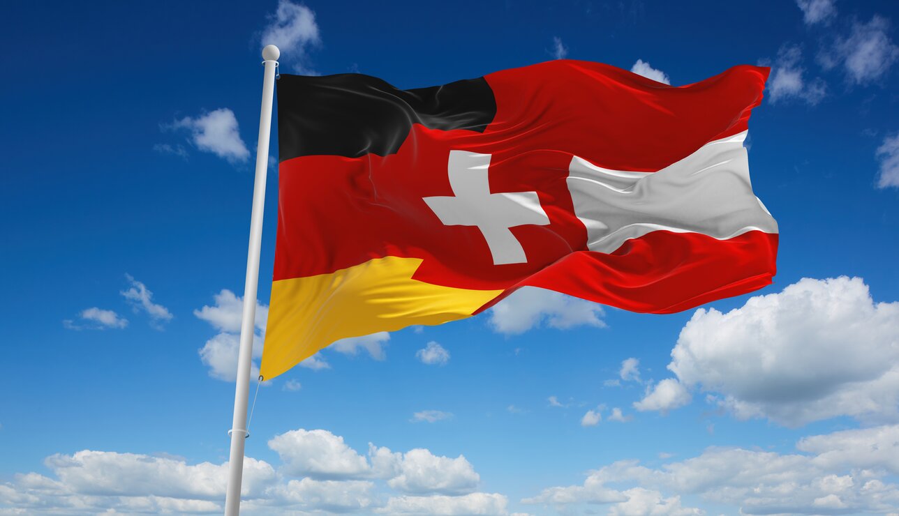 Healthcare Sellution GmbH DACH